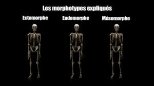 Forget about the morphotypes!